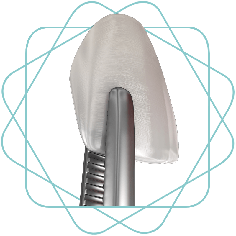 veneer being held 3d model1